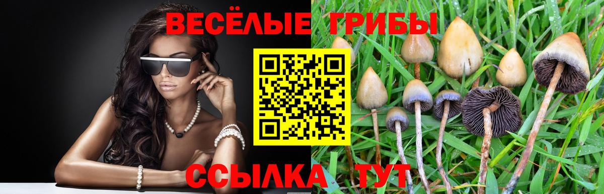 Галлюциногенные грибы мухоморы Южноуральск