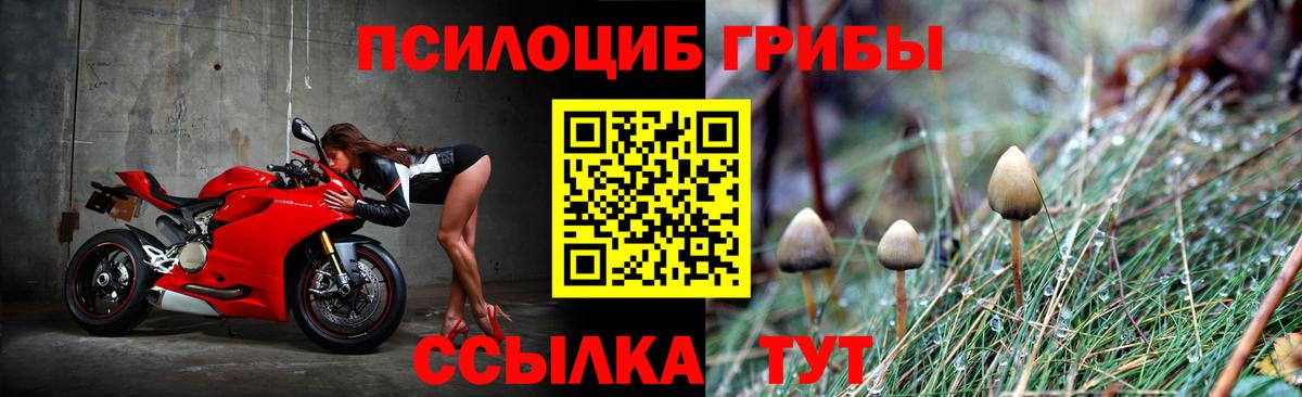 Галлюциногенные грибы MAGIC MUSHROOMS  Вход с VPN  Южноуральск 